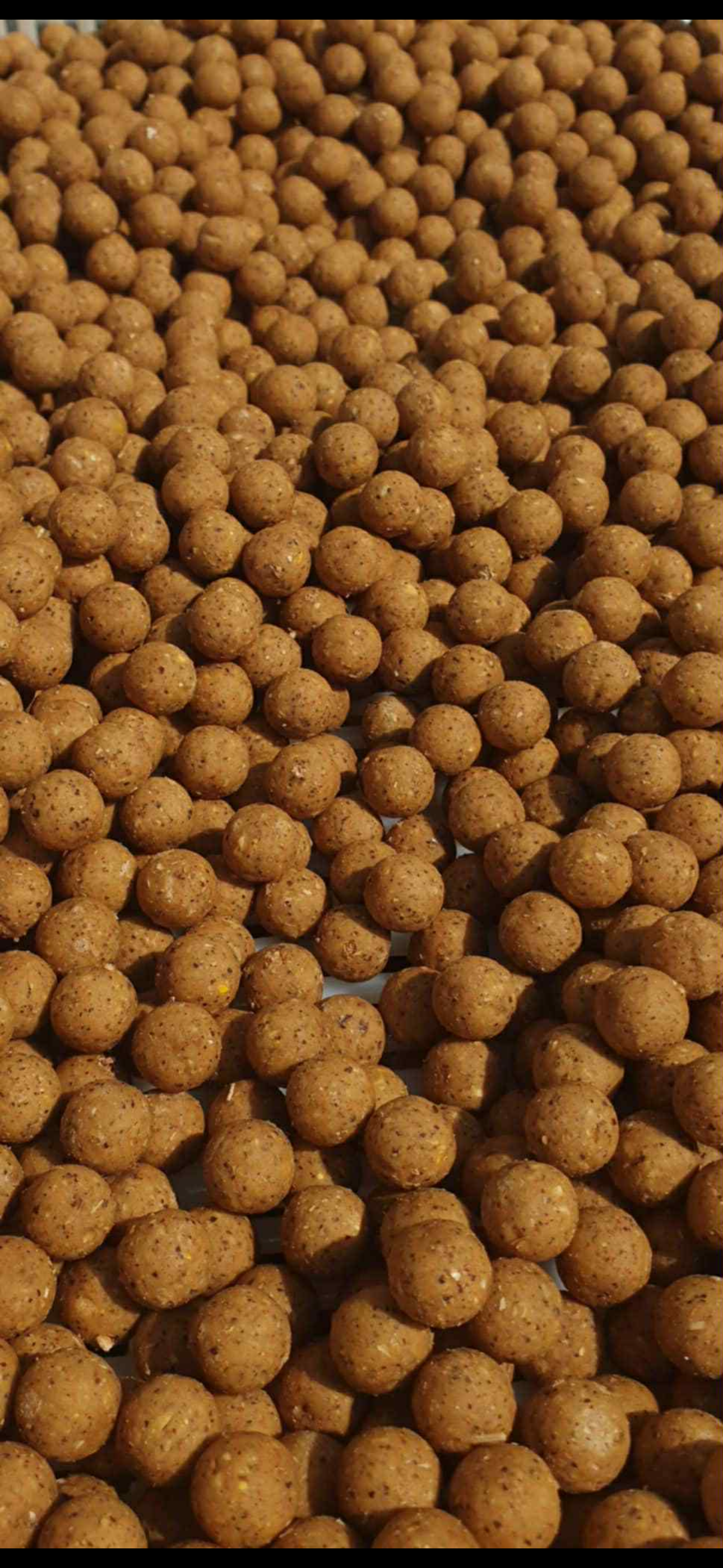 Toffee Lux - the ultimate nut mix boilie. 1kg